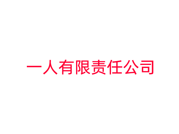 一人有限责任公司